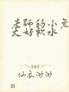老师的小兔子好大好软水