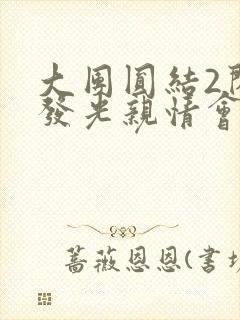 大团圆结2闪闪发光亲情会