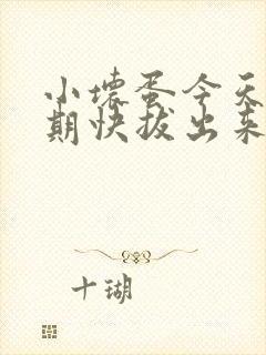 小坏蛋今天危险期快拔出来