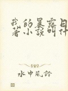 我的暴露日记原著小说叫什么