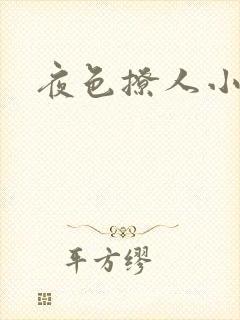 夜色撩人小说