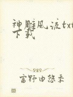 神雕风流txt下载