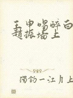 王申喝醉白洁被赵振墙上