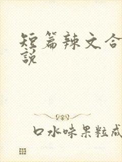 短篇辣文合集小说