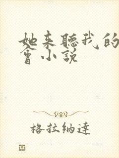 她来听我的演唱会小说