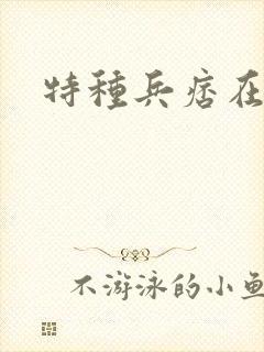 特种兵痞在都市