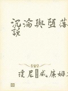 沉沦与堕落的小说