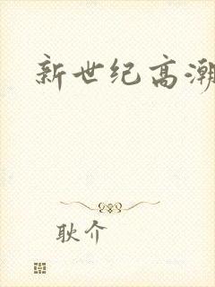 新世纪高潮战队