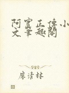 阿宾正传小说全文笔趣阁