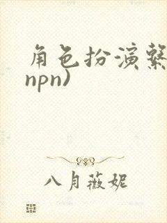 角色扮演系统(npn)