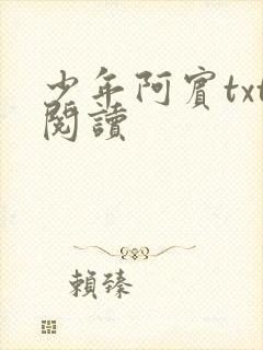 少年阿宾txt阅读