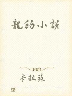 龙的小说