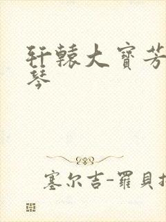 轩辕大宝芳菲雅琴