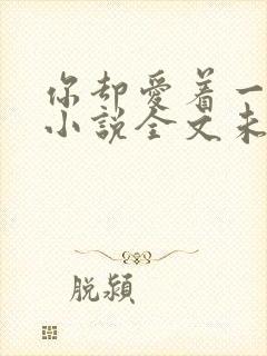 你却爱着一个他小说全文未删减免费