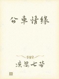 公车情缘