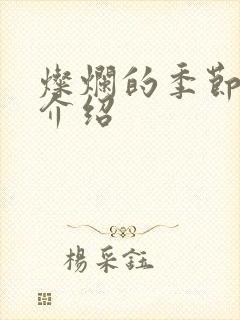 灿烂的季节剧情介绍