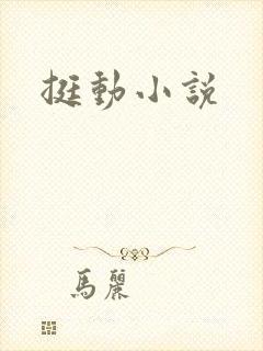 挺动小说
