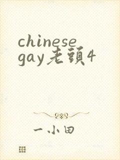 chinesegay老头4