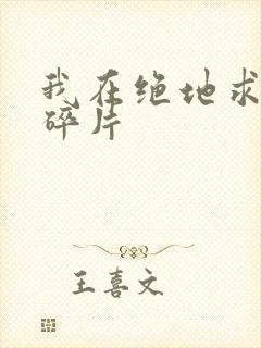 我在绝地求生捡碎片