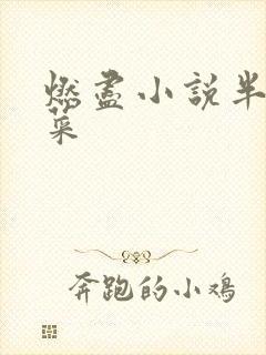 燃尽小说半截白菜