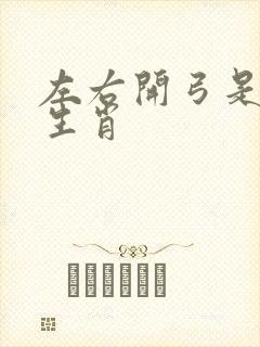 左右开弓是什么生肖