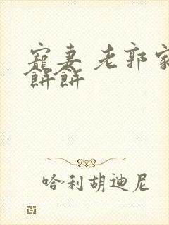 宠妻 老郭家的饼饼