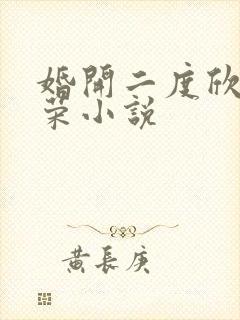 婚开二度欣欣向荣小说