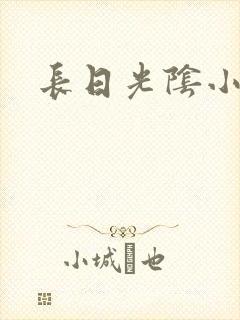 长日光阴小说