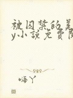 被囚禁的美人by小说免费阅读