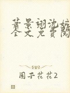 萧景翊沈婉小说全文免费阅读