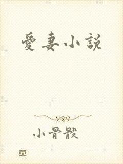爱妻小说