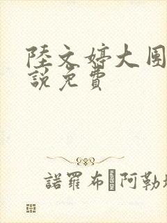 陆文婷大团圆小说免费