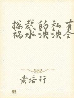 总裁的私有宝贝祸水泱泱全文阅读