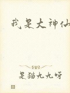 我是大神仙小说