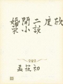 婚开二度欣欣向荣小说