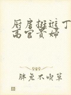 厨房挺进丁字裤高官贵妇