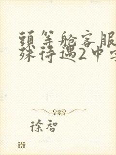 头等舱客服的特殊待遇2中字