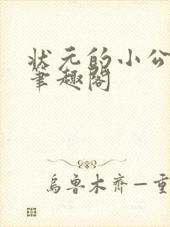 状元的小公主 笔趣阁