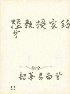 陆教授家的小月牙