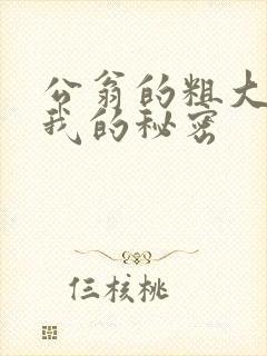 公翁的粗大放进我的秘密