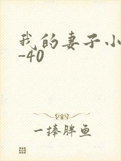 我的妻子小谨1-40