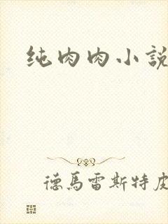 纯肉肉小说