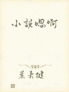 小说嗯啊