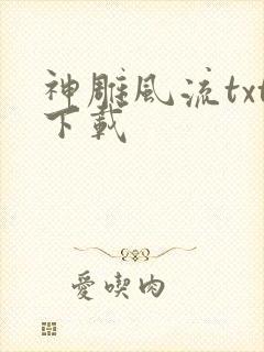 神雕风流txt下载