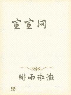 宣宣网