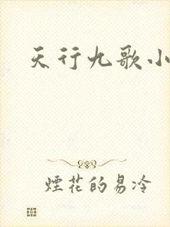 天行九歌小说