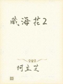 藏海花2