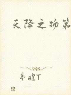 天降之物第一季