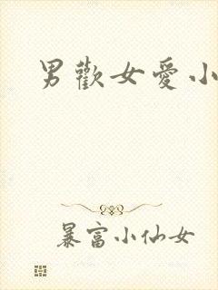 男欢女爱小说