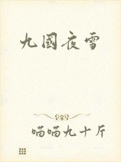 九国夜雪